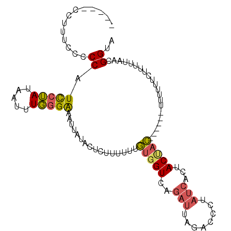 secondary structure