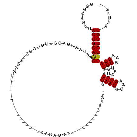 secondary structure