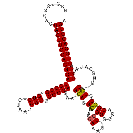 secondary structure
