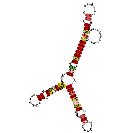 secondary structure