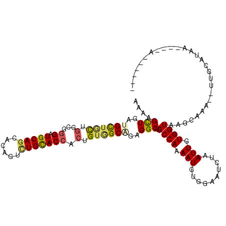 secondary structure