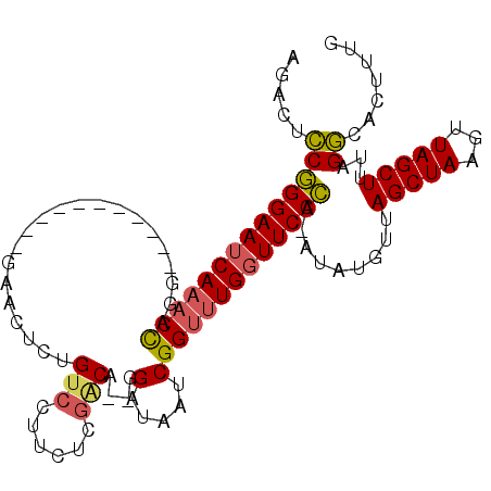 secondary structure