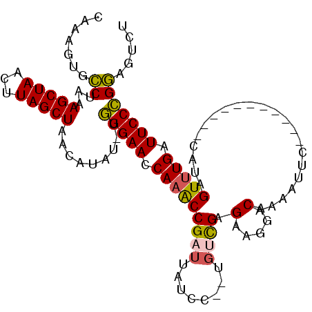 secondary structure