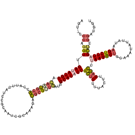 secondary structure