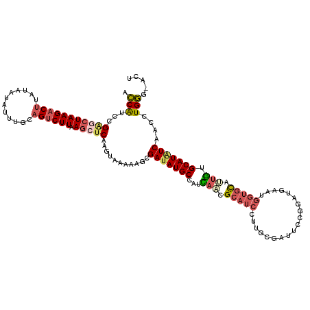 secondary structure