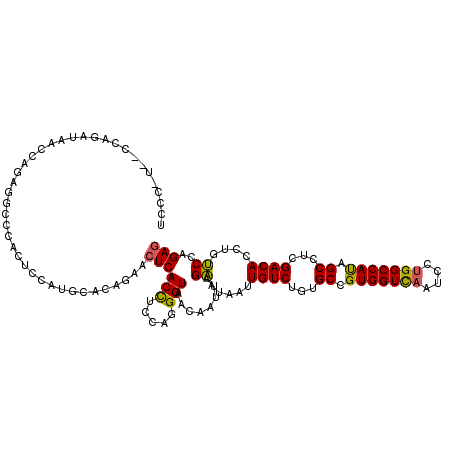 secondary structure