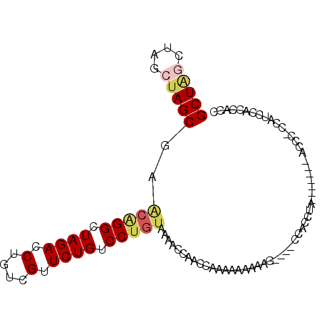 secondary structure