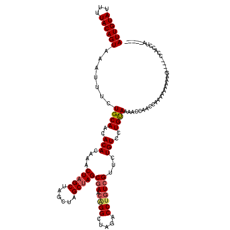 secondary structure