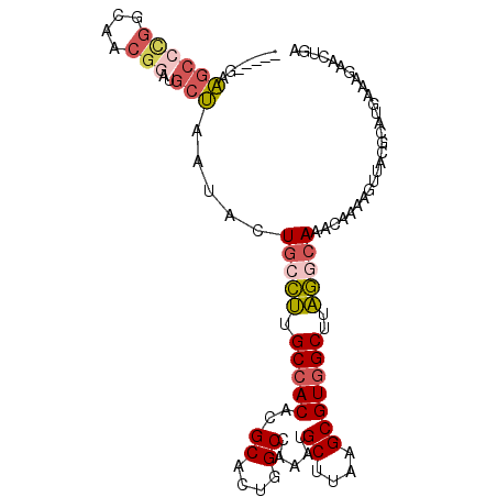 secondary structure