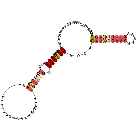 secondary structure