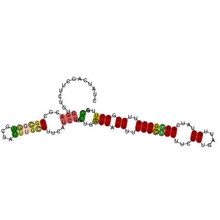 secondary structure