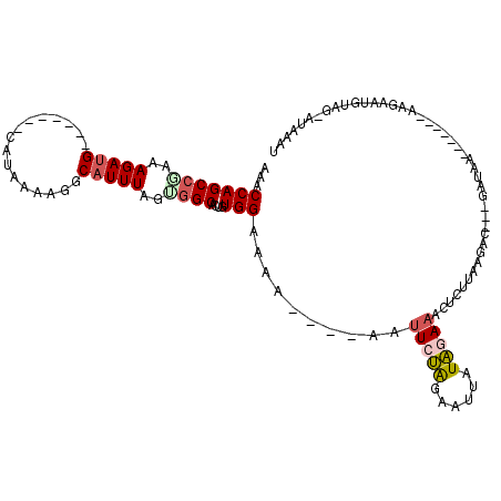 secondary structure