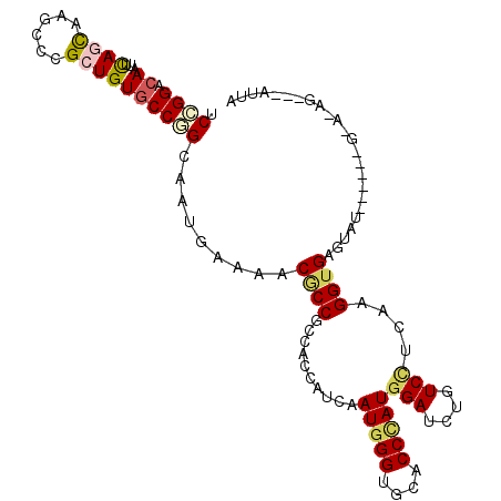 secondary structure