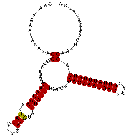 secondary structure