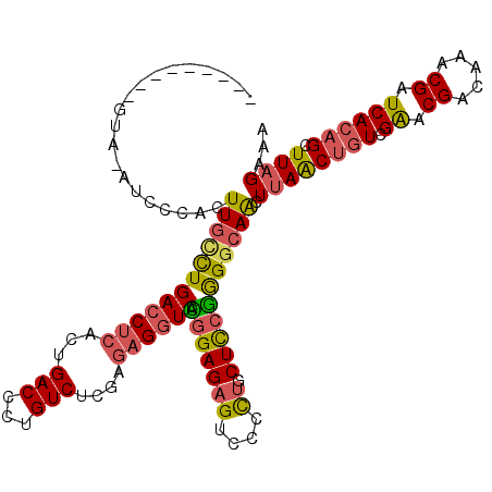 secondary structure