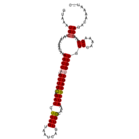 secondary structure