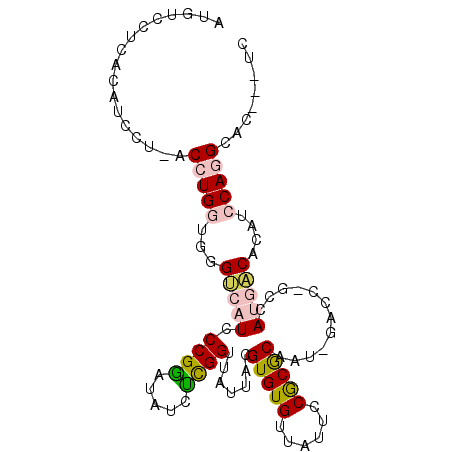 secondary structure
