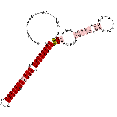 secondary structure