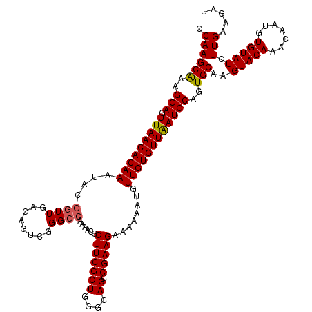 secondary structure