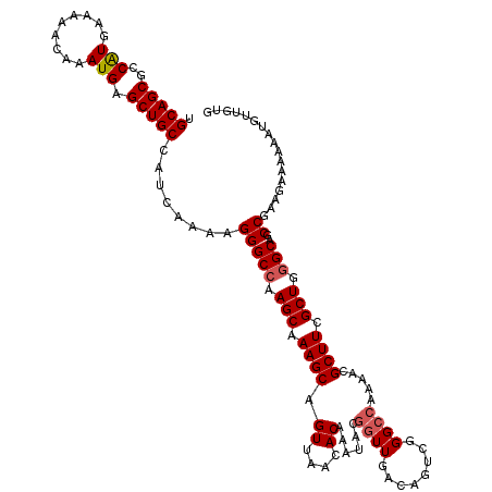 secondary structure