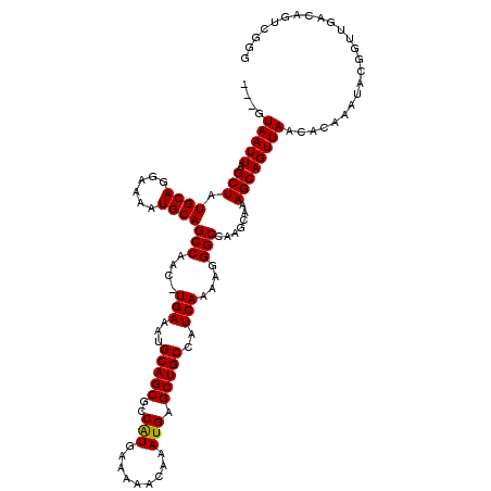 secondary structure