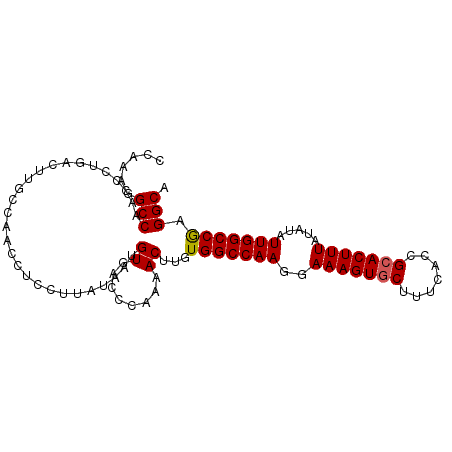 secondary structure