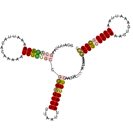 secondary structure
