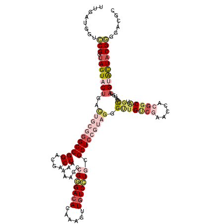 secondary structure