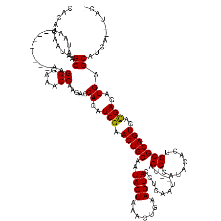 secondary structure