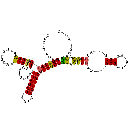 secondary structure