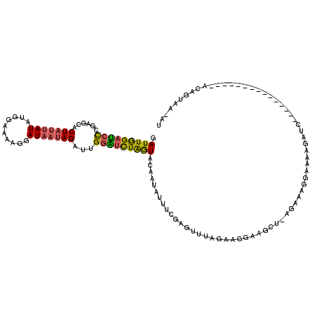 secondary structure