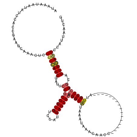 secondary structure