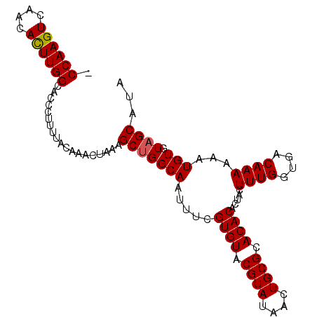 secondary structure