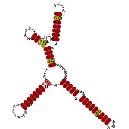 secondary structure