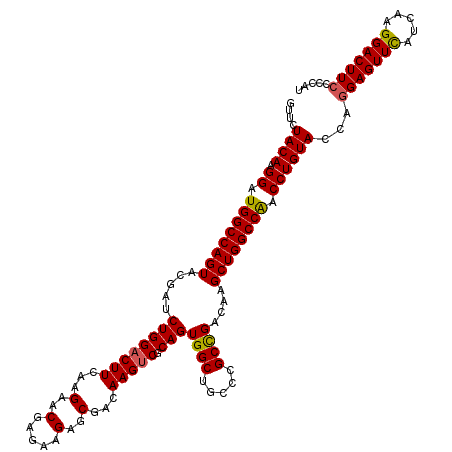 secondary structure