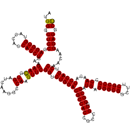 secondary structure