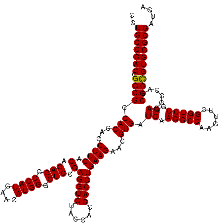 secondary structure