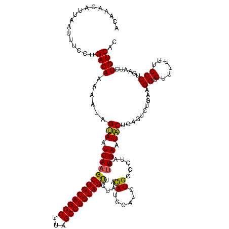 secondary structure