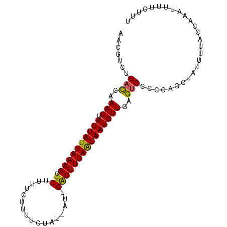 secondary structure