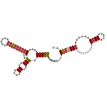 secondary structure
