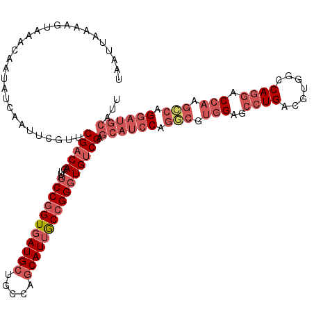secondary structure