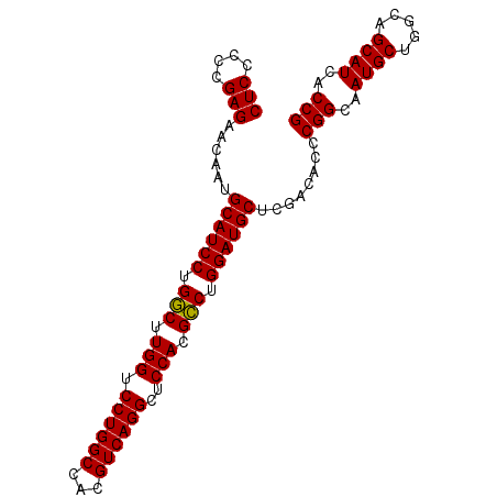 secondary structure