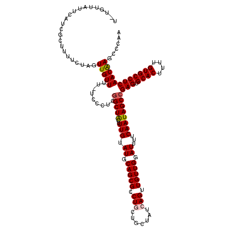 secondary structure