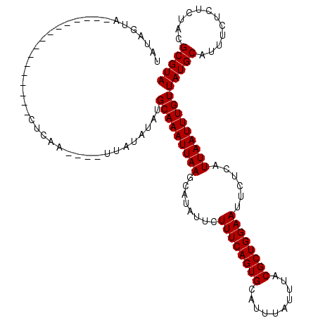 secondary structure