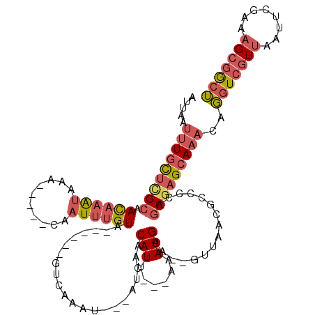 secondary structure