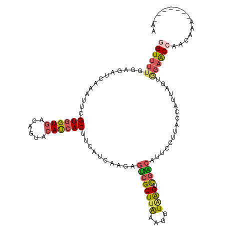 secondary structure