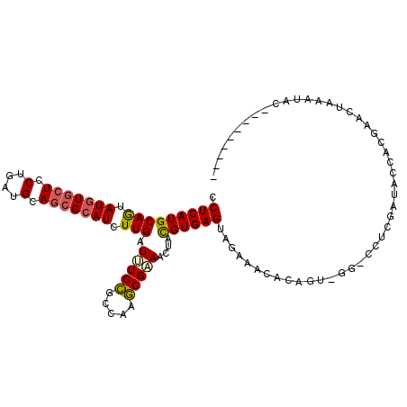 secondary structure
