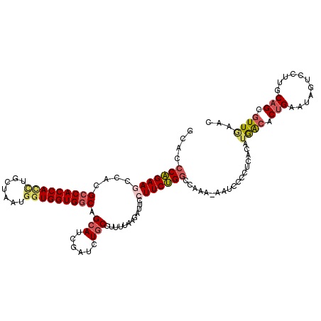 secondary structure