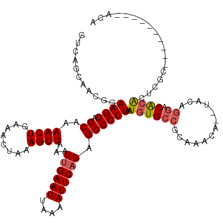 secondary structure