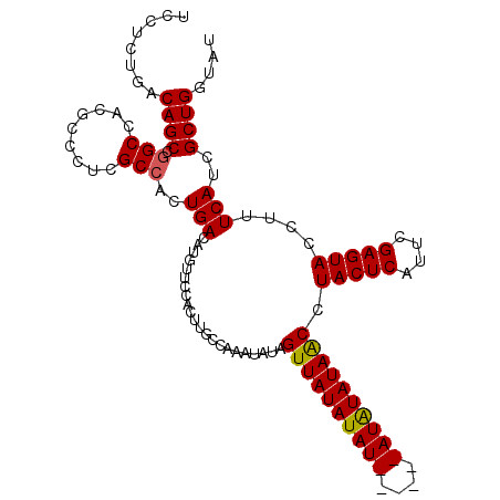 secondary structure